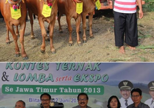 Kontes Ternak dan lomba Serta Ekspo Se-Jawa Timur Tahun 2013 Di Kabupaten Blitar